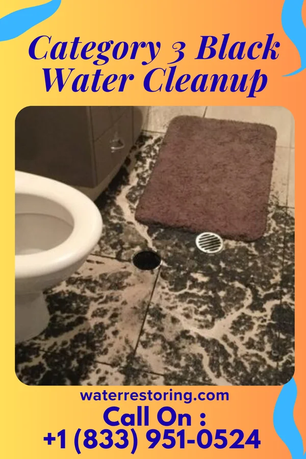Category 3 Black Water Cleanup in Glenville, CT