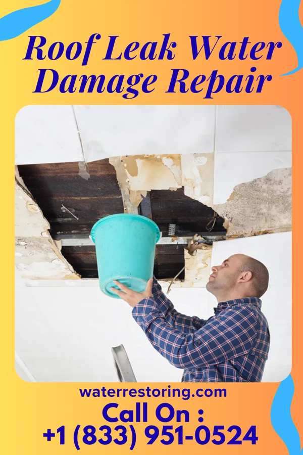 Roof Leak Water Damage Repair in Glenville, CT